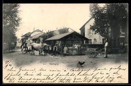 AK Cartigny, Straßenpartie mit Ochsengespann