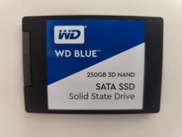 WD Blue 250GB 3D NAND SSD | 96% Health | Nur 2977 Std.