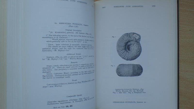 Libri: Type Ammonites von S.S, Buckman – Usato da Rickenbach BL venduto da Oktober68 4