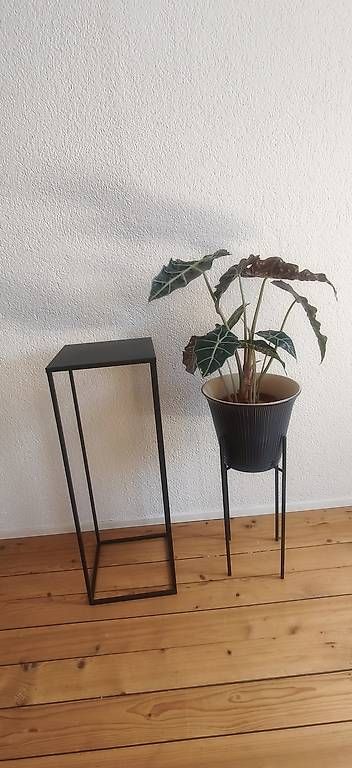 Altro per la casa: Elegante Pflanzenständer aus Metall | Einzeln oder als Set – Usato da Schaffhausen venduto da wanno
