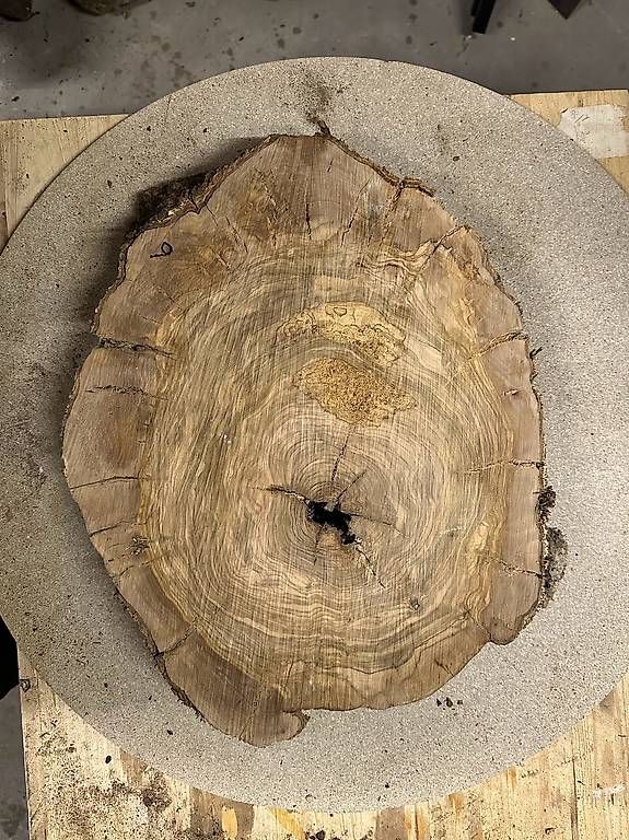 Articoli in legno: Olivenholz Baumscheibe - 09 – Usato da Buus venduto da macipioji