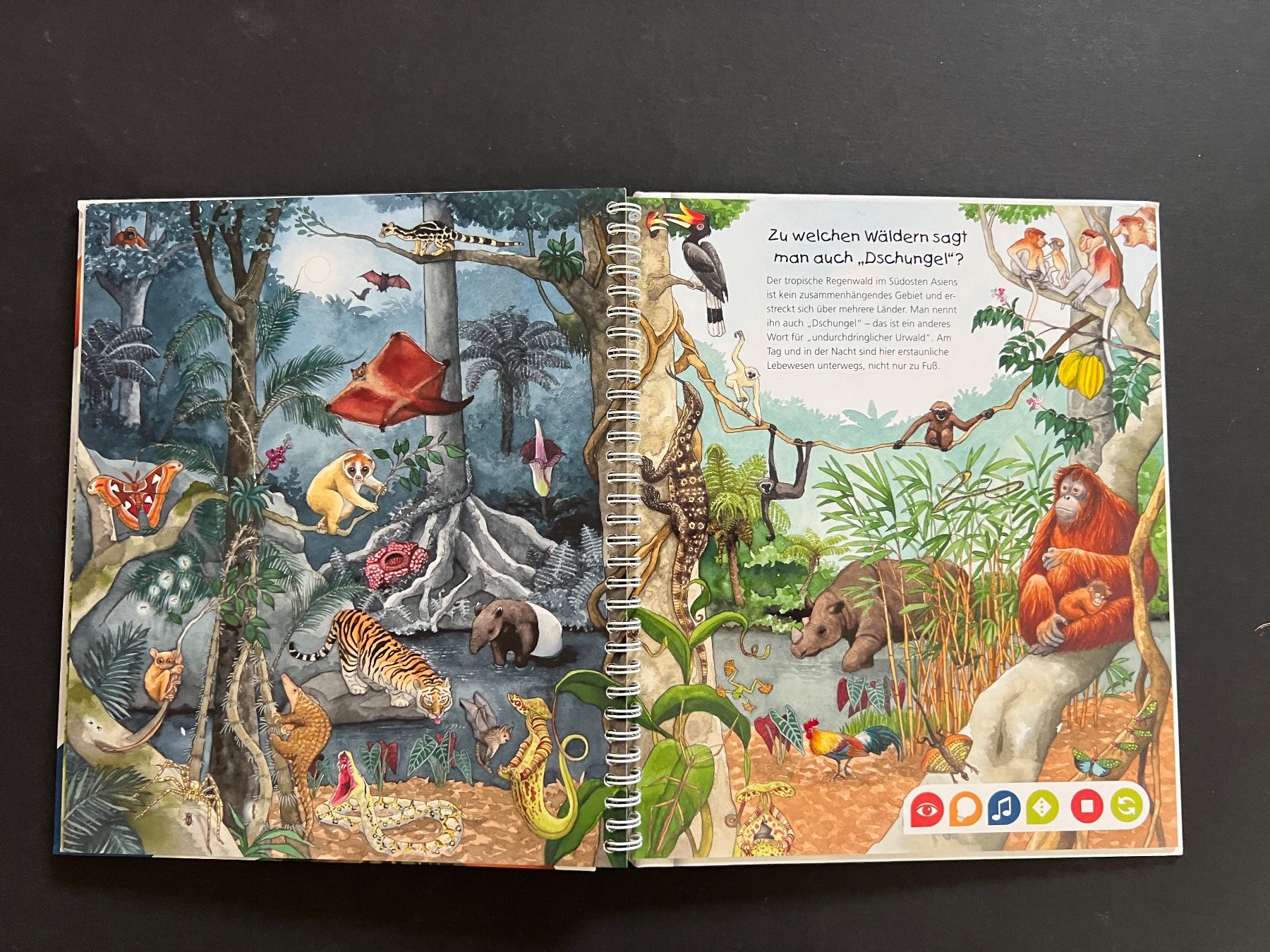 Bücher: Tip Toi TipToi entdecke den Regenwald Buch – Gebraucht aus Ennetbaden von mapa05 7