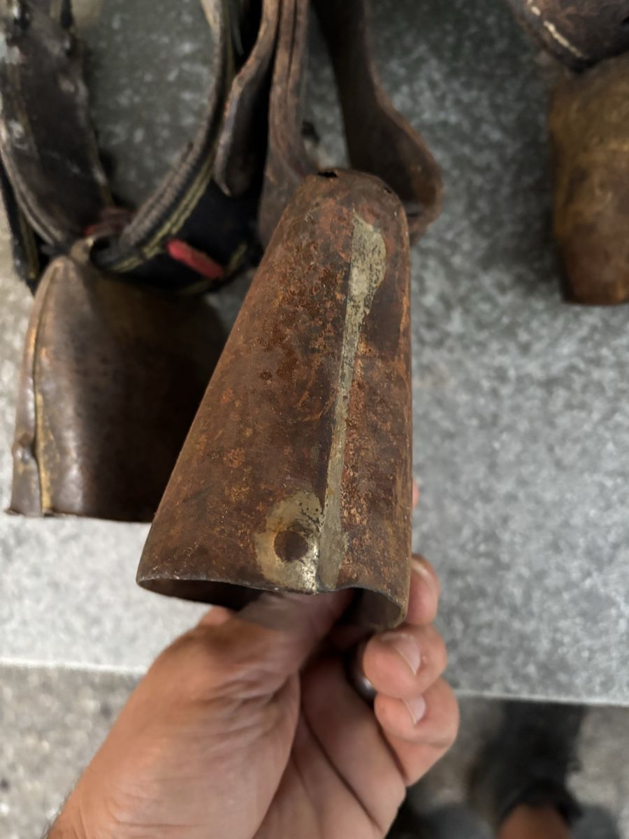 Campanacci mucche: 4 Bissen. – Usato da Schangnau venduto da Roseggli82 3