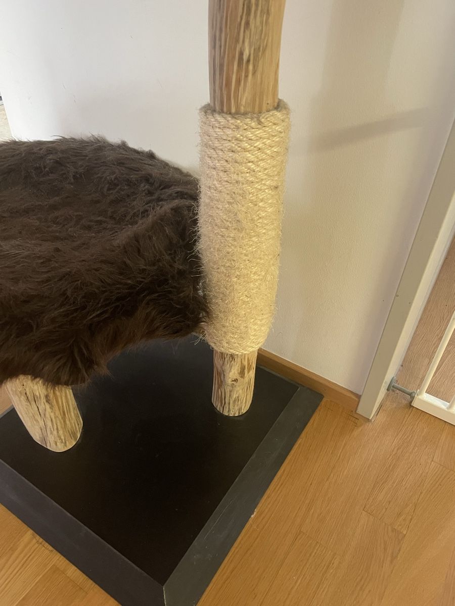 Katzenbaum - Kratzbaum: Katzenkratzbaum – Gebraucht aus Basel von Diana214 1