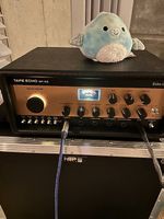 Echo Fix EF-X2 MK2 Analoges Tape Echo und Reverb, neuwertig