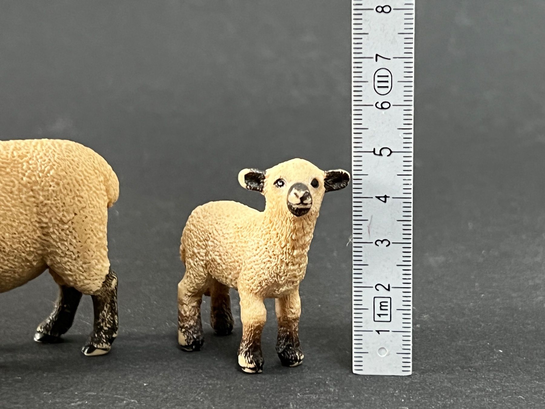 Schleich Figuren: Schleich 13681 Shropshire Schaf – Gebraucht aus Ennetbaden von mapa05 2