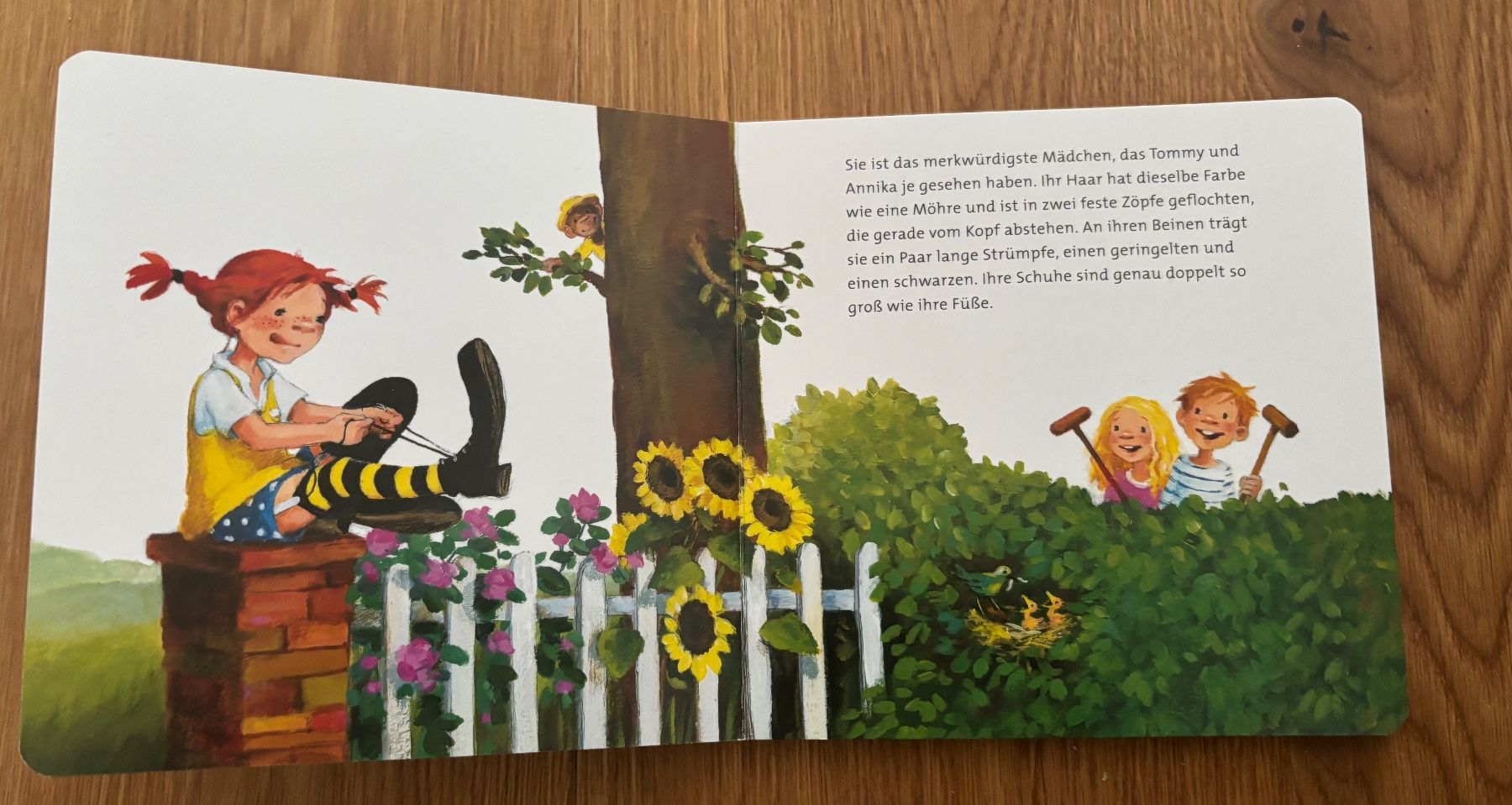 Libri: Pippi Langstrumpf – Usato da Jegenstorf venduto da Annina0506 2
