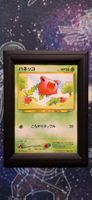 Hoppip 187 - Crossing The Ruins JP