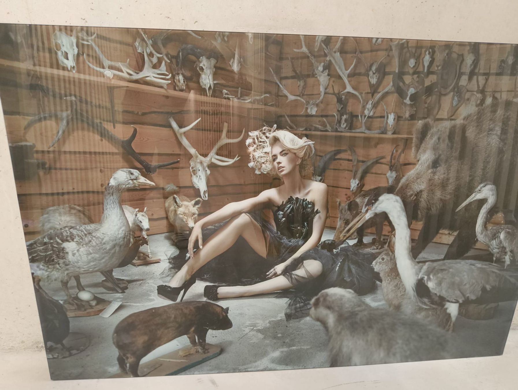 Poster & Bilder: Kare Glasbild 100x150cm – Neu (gemäss Beschreibung) aus Sursee von michaelkelly