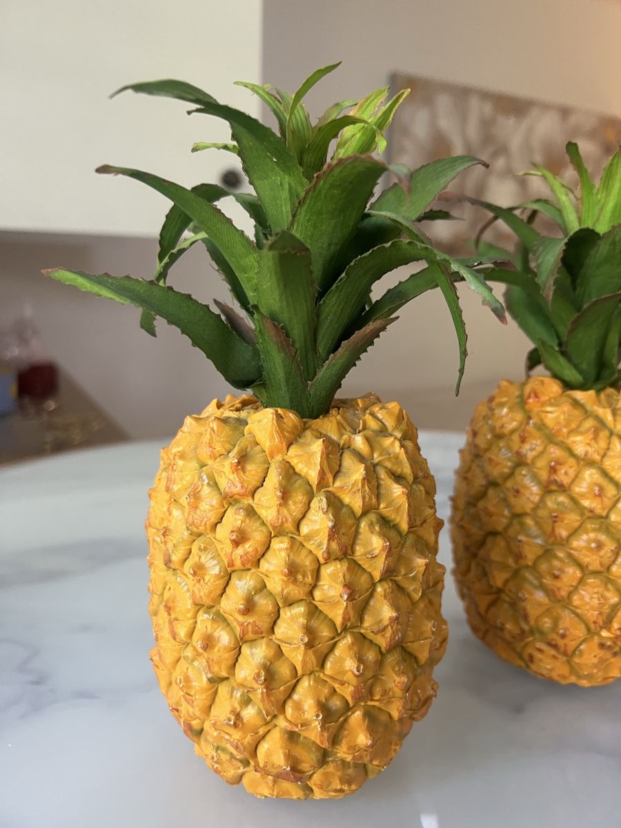 Tutte le decorazioni: Deko Ananas Set 2 Stück  – Usato da Zürich venduto da R1908 2