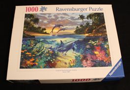 Puzzle *Coral Bay* (SH)