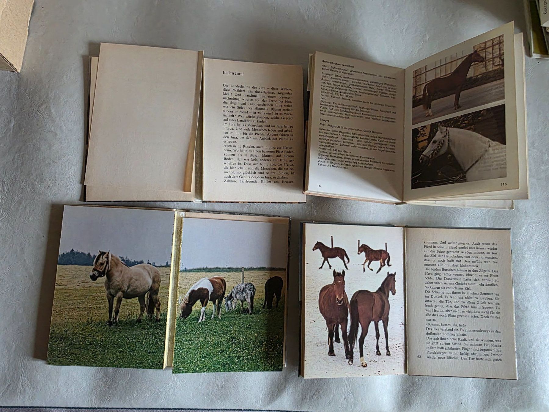 Libri: 4 Vintage Pferde Bücher 1979 etc. – Usato da Walterswil BE venduto da Lonitti 2