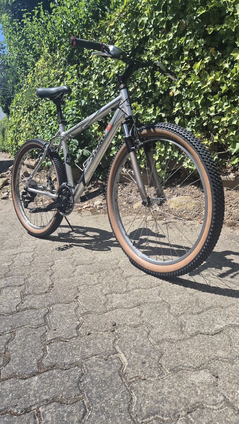 Stoke Velos: Mountainbike – Gebraucht aus Oberhasli von Velo_Susak