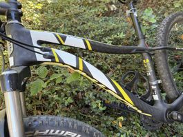 Mustang Carbon Bike 24"