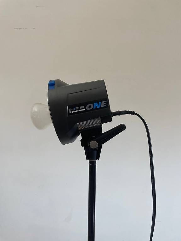 Elinchrom Blitze: Elinchrom D-Lite RX ONE – Gebraucht aus Basel von raphaelagraf 1