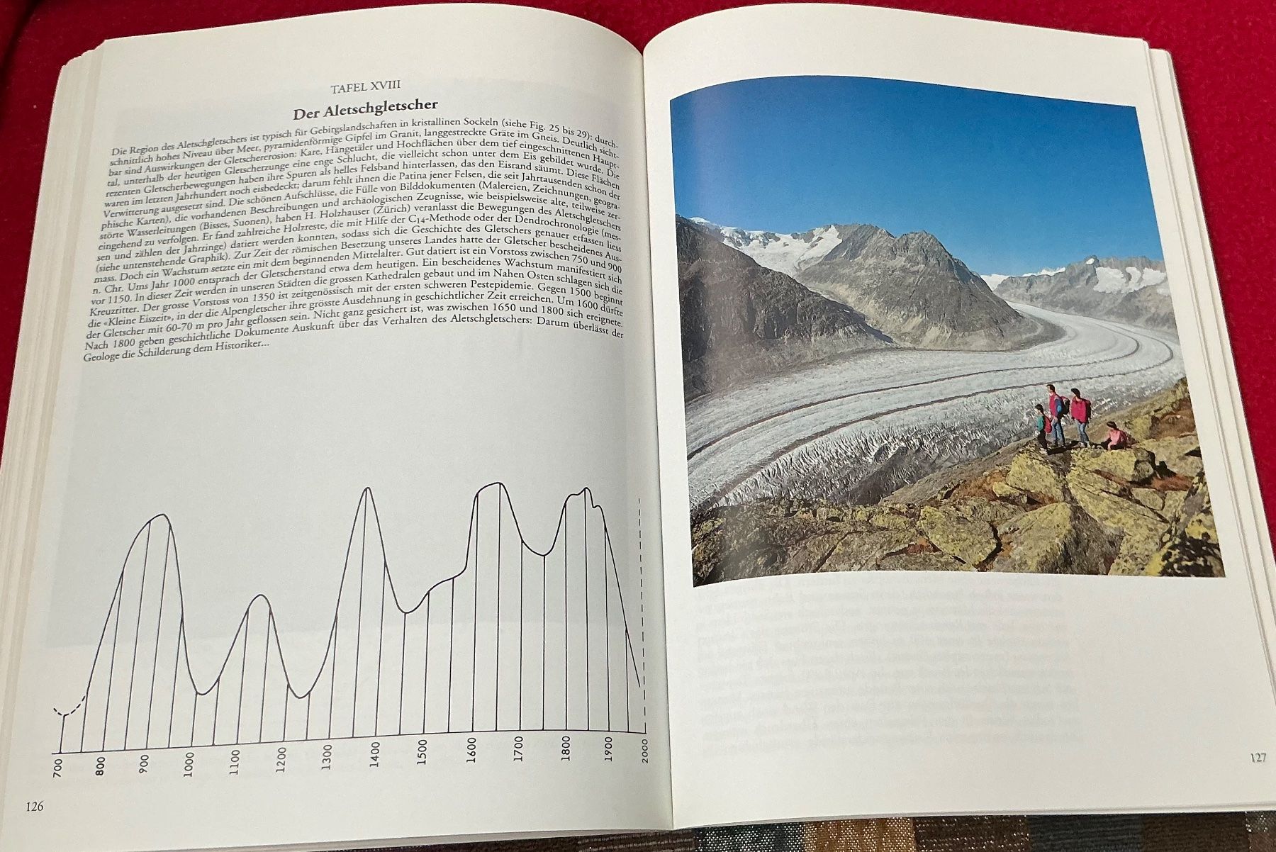 Libri: Arnold Niederer: Gemeinwerk im Wallis – Usato da Naters venduto da seidengut 1