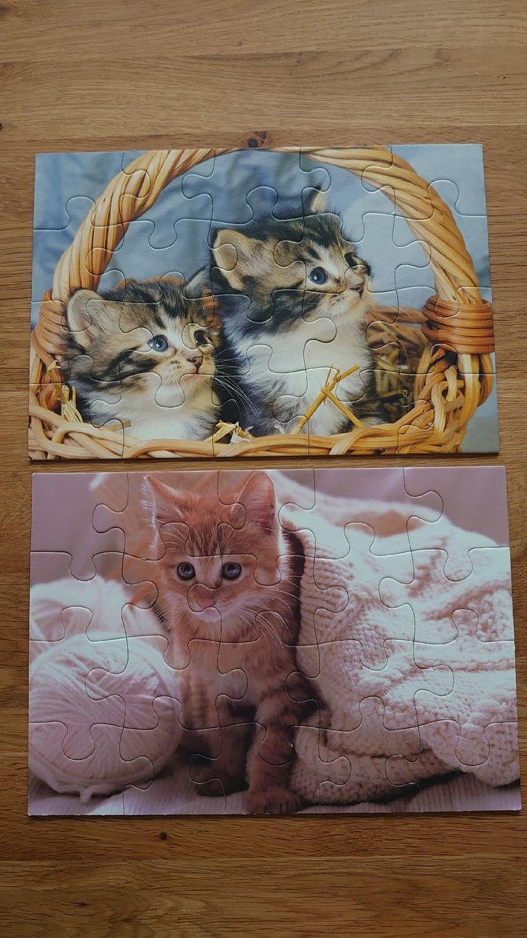 Ravensburger Puzzle: 2 x20er Puzzle von Ravensburger – Usato da Pfäffikon SZ venduto da Wild0 2