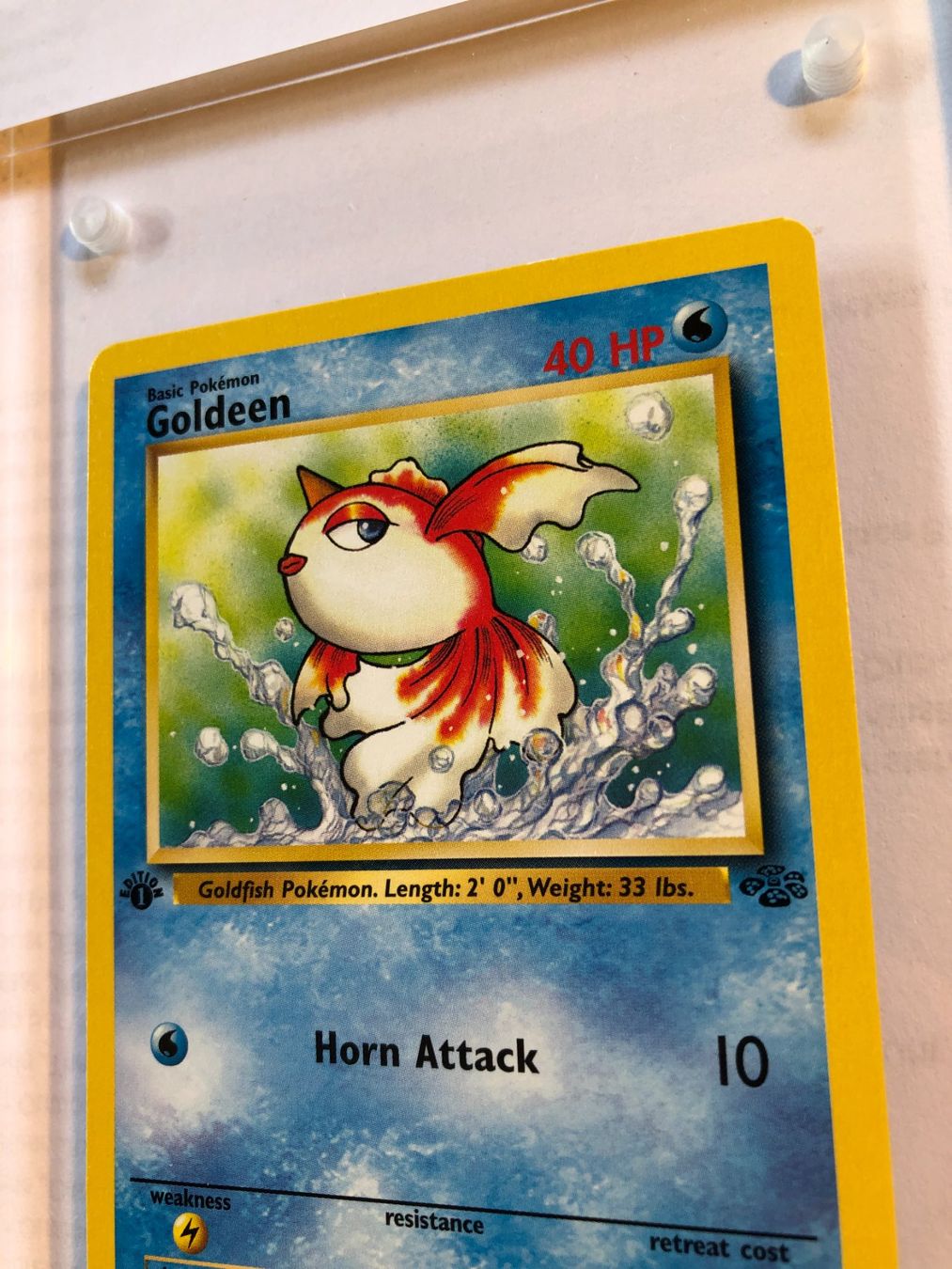Carte collezionabili: Goldeen 1st Jungle - MINT - ab 1.- – Usato da Giubiasco venduto da dan_pr8b 3