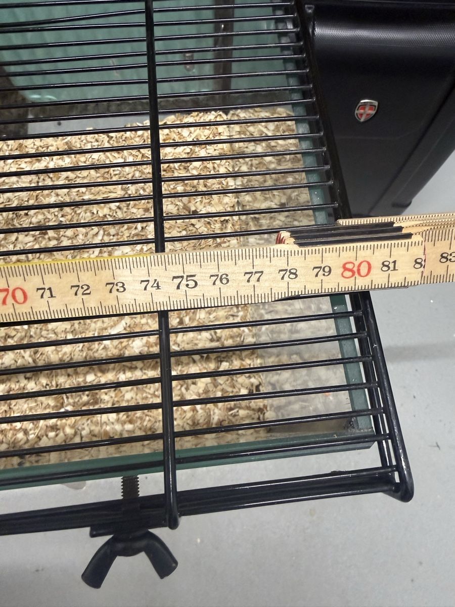 Käfige, Transport & Sicherheit: Hamsterkäfig mit diversen Zubehör – Neu (gemäss Beschreibung) aus Uznach von DaniRodrigues7 6