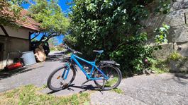 Kinder Mountainbike Bergamont 21-Gang