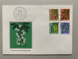 FDC Pro Juventute + Passende 4er Blöcke 1974 ET  **
