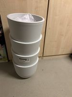 Pflanzen topf 