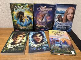 6-teiliges Bücherset