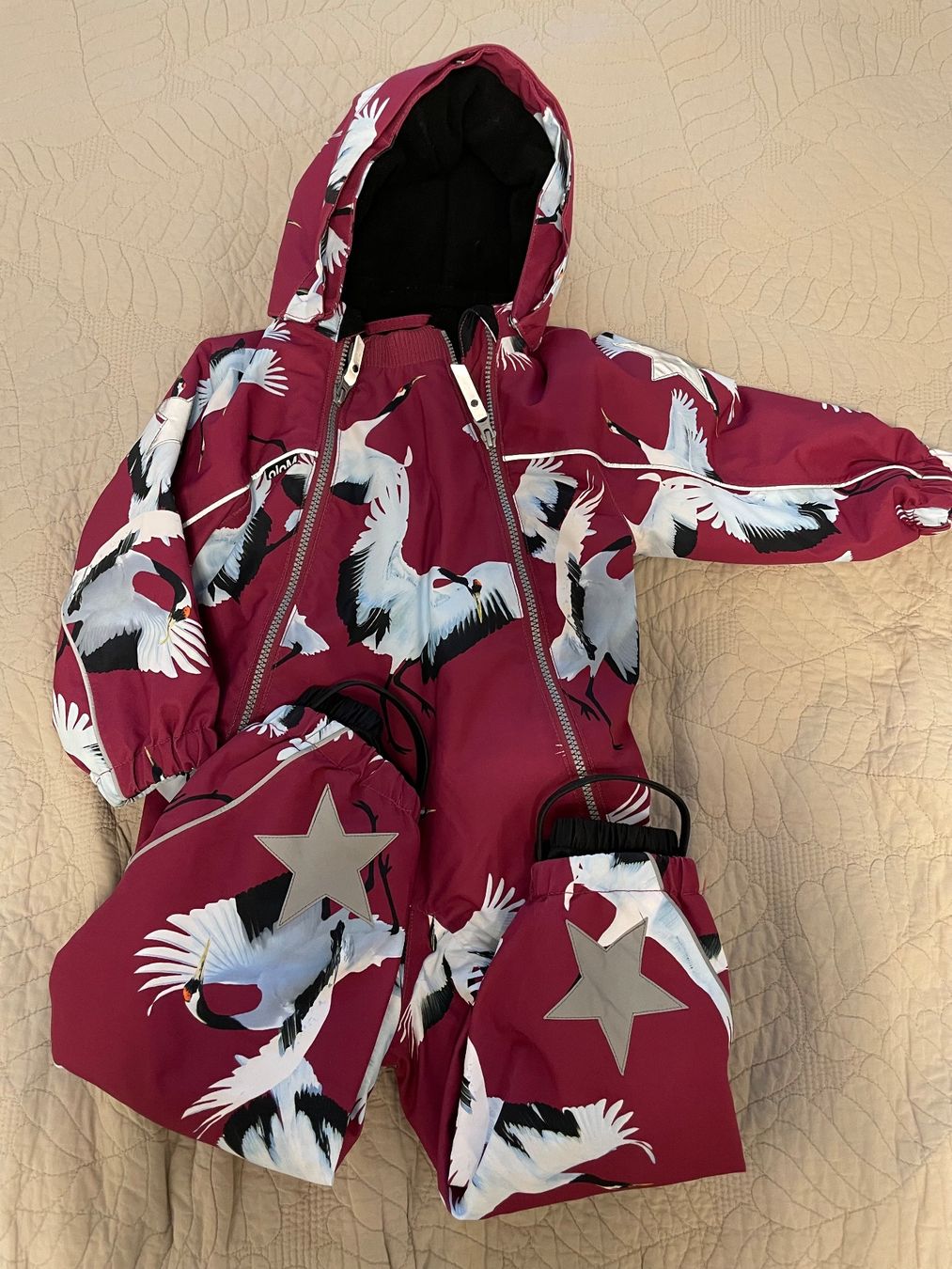 Molo Lotti & Set di vestiti: Molo snowsuit – Usato da Adliswil venduto da ban_67zt 1
