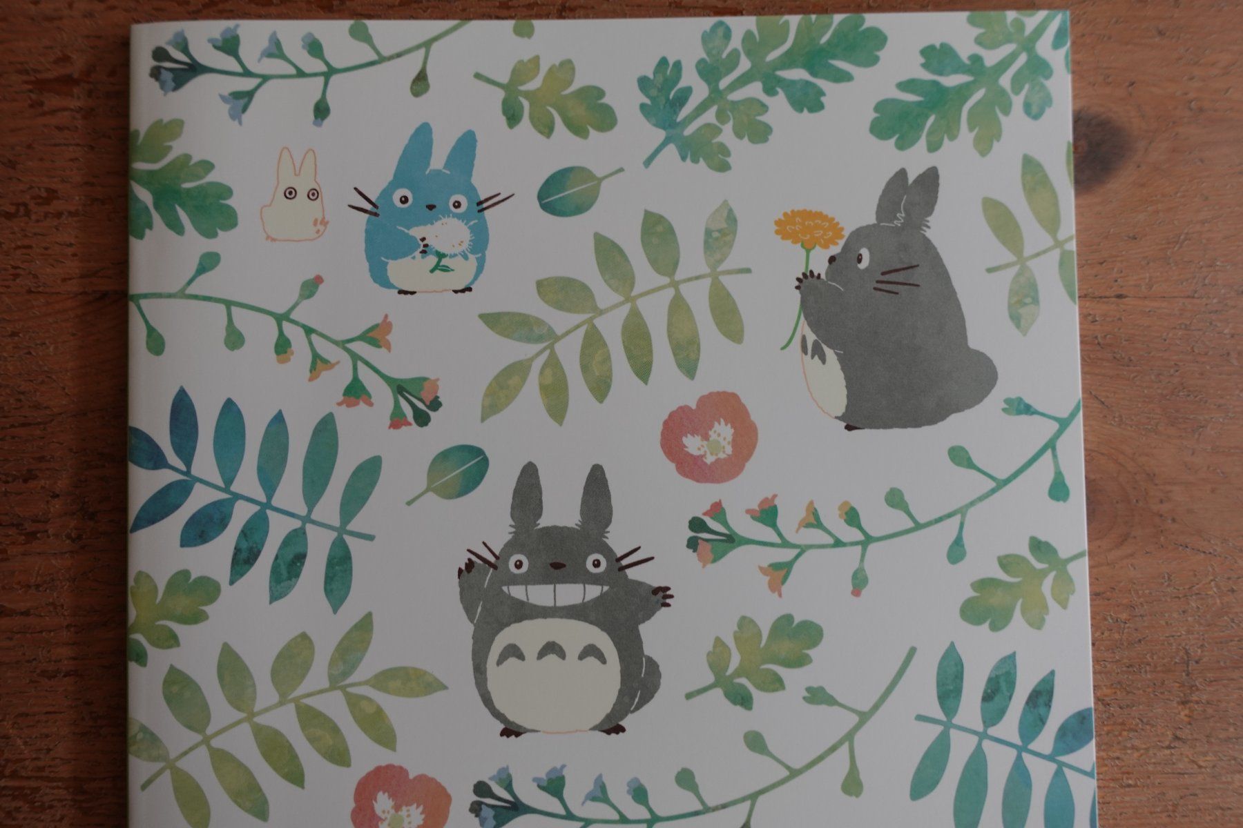 Blocchi: Ghibli Japan - Totoro Notebook Notizbuch B5 – Nuovo (secondo la descrizione) da Ettiswil venduto da maimaiswiss 1