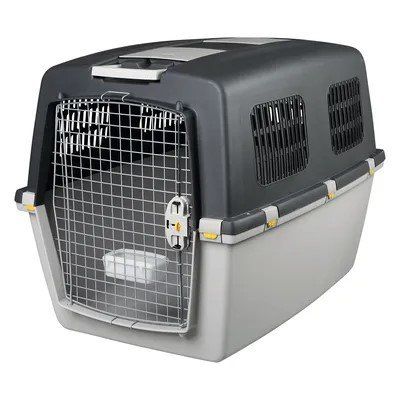 Trixie Gabbie, trasporto & Sicurezza: Trixie Transportbox Gulliver mit Rollen – Usato da Pully venduto da Kernie
