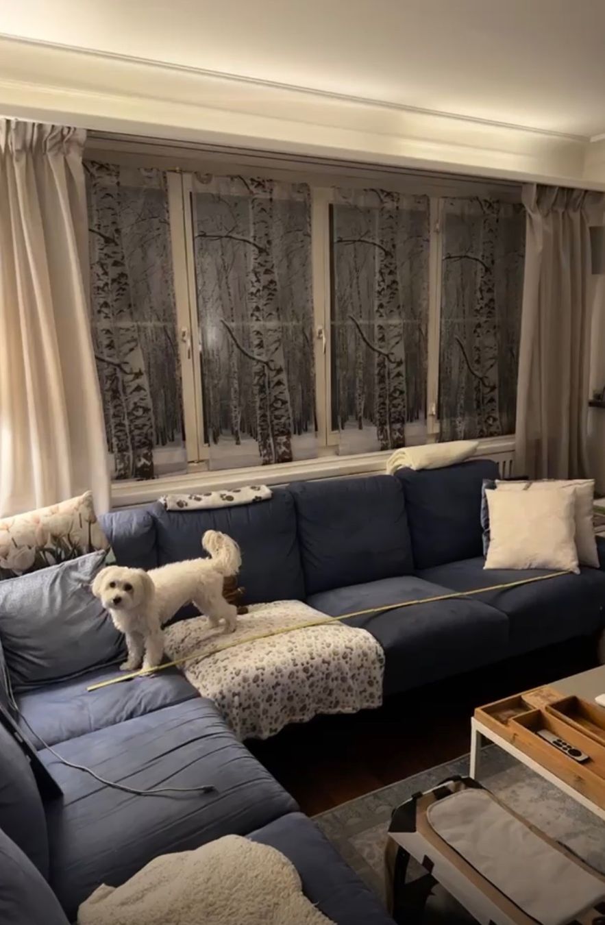Sofas: Eck-Sofa – Gebraucht aus Nussbaumen AG von ahe_yps8 3