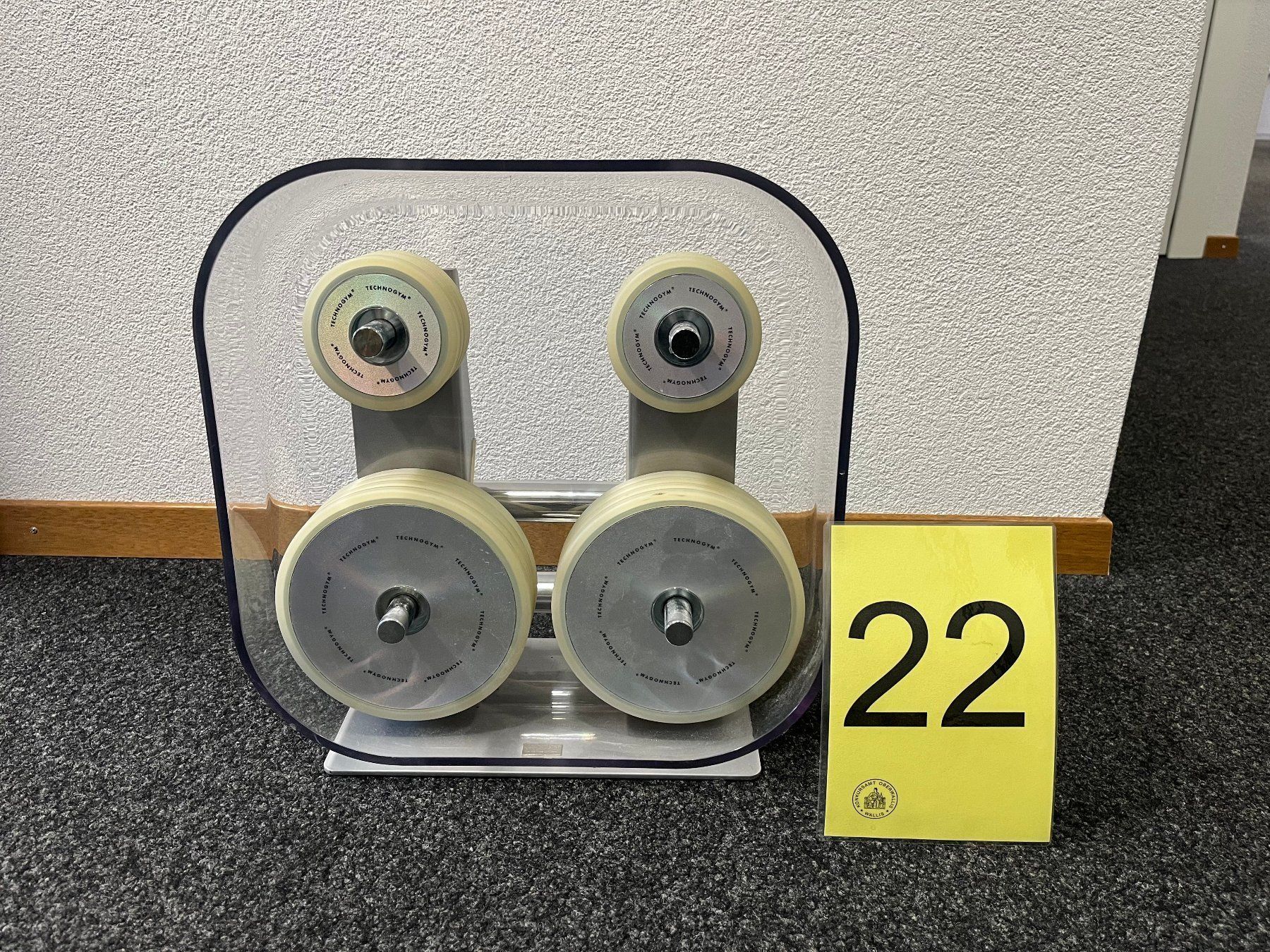 Technogym Hanteln & Gewichte: Technogym Wellness Rack – Gebraucht aus Brig von jausi76