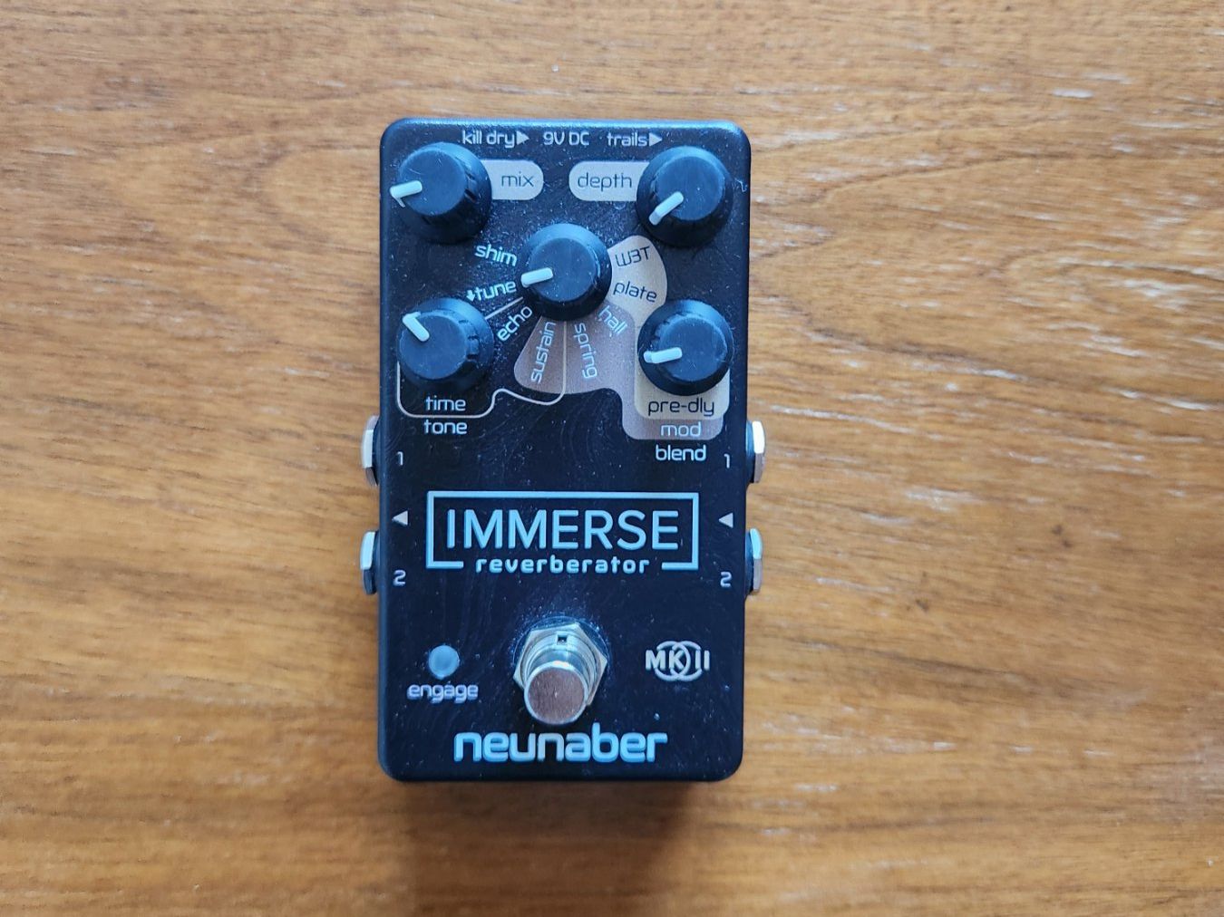 Strumenti musicali: Effektpedal Immerse reverberator – Usato da Luzern venduto da isalalala 1