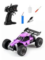 RC Auto Rennwagen Lila/Silber mit Sprühnebel-Effekt