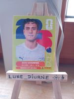 Carte Panini 2026 Marko Stamenic NZL15
