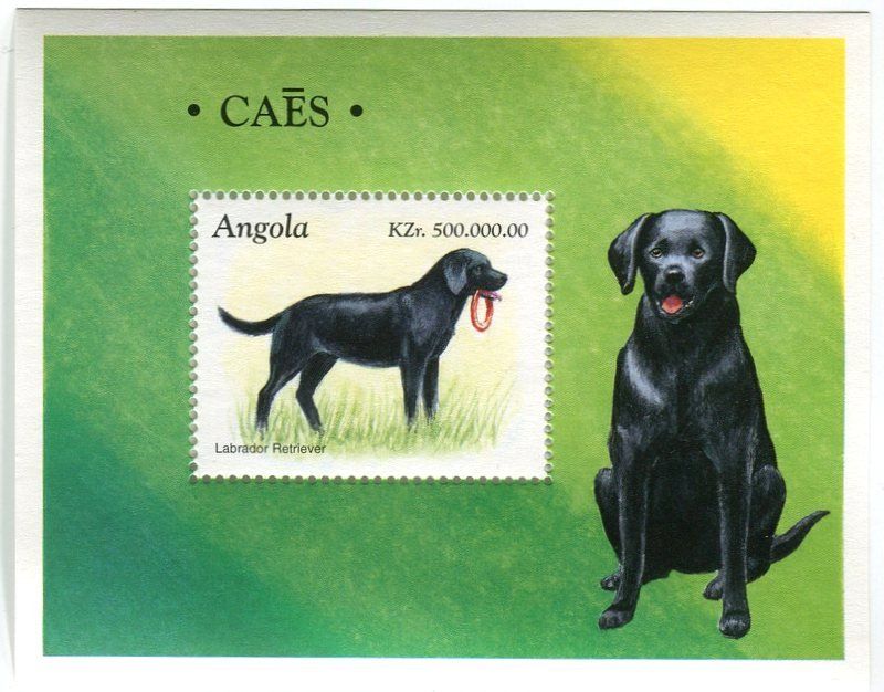 Alle Briefmarken: Block "Labrador Retriever". Angola – Neu und originalverpackt aus Basel von Butsch5