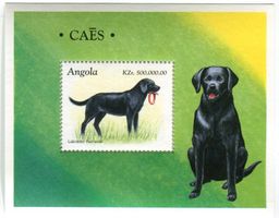 Block "Labrador Retriever". Angola