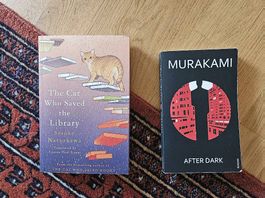 Cat saved Library (Natsukawa), After Dark (Murakami)