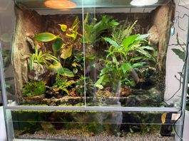 Terrarium mit Wasserfall Komplettset