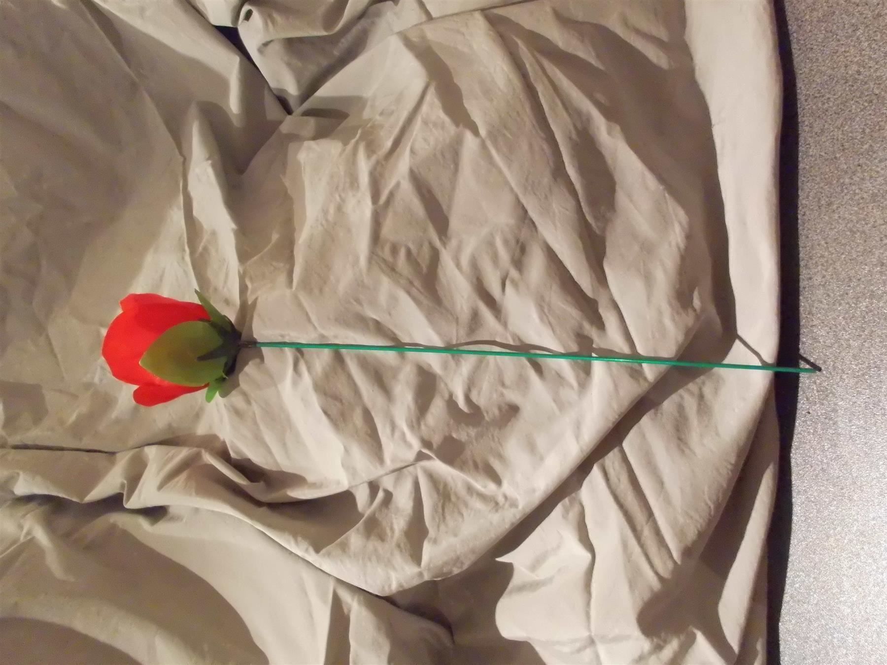 Plantes & graines: Rose rot mit Metallspiess – Neuf avec emballage d'origine à Zürich par abraxas1291 2