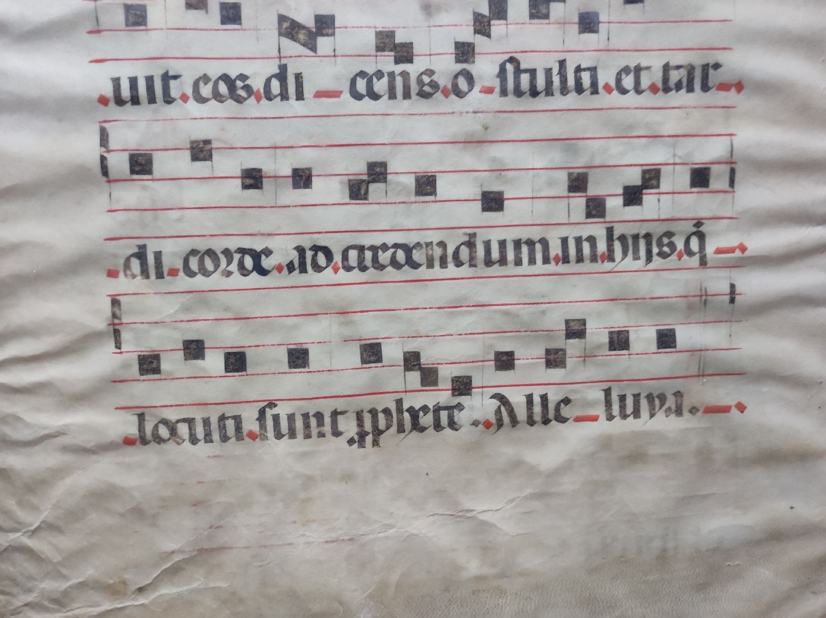 Poster & Bilder: MANUSKRIPTE - ANTIPHONARIUM – Gebraucht aus Goldach von Gaip 7