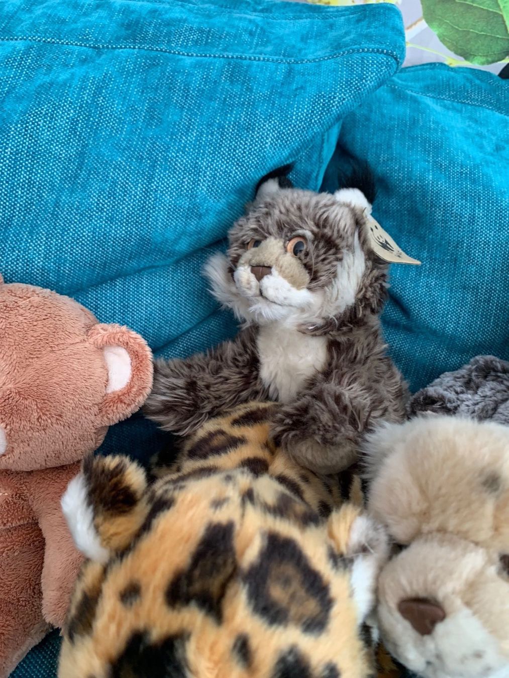 WWF Spielzeuge: WWF Kuscheltier Sammlung: Löwe, Tiger, Bär, Zebra & Co. – Gebraucht aus Meiringen von Jackwashere 3
