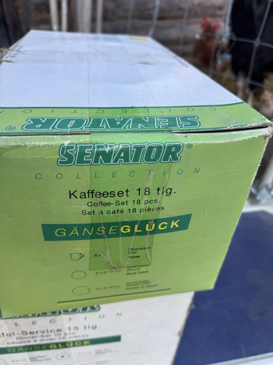 Set di piatti: Tafel- und Kaffeeset Gänseglück – Nuovo (secondo la descrizione) da Windlach venduto da Manija 3