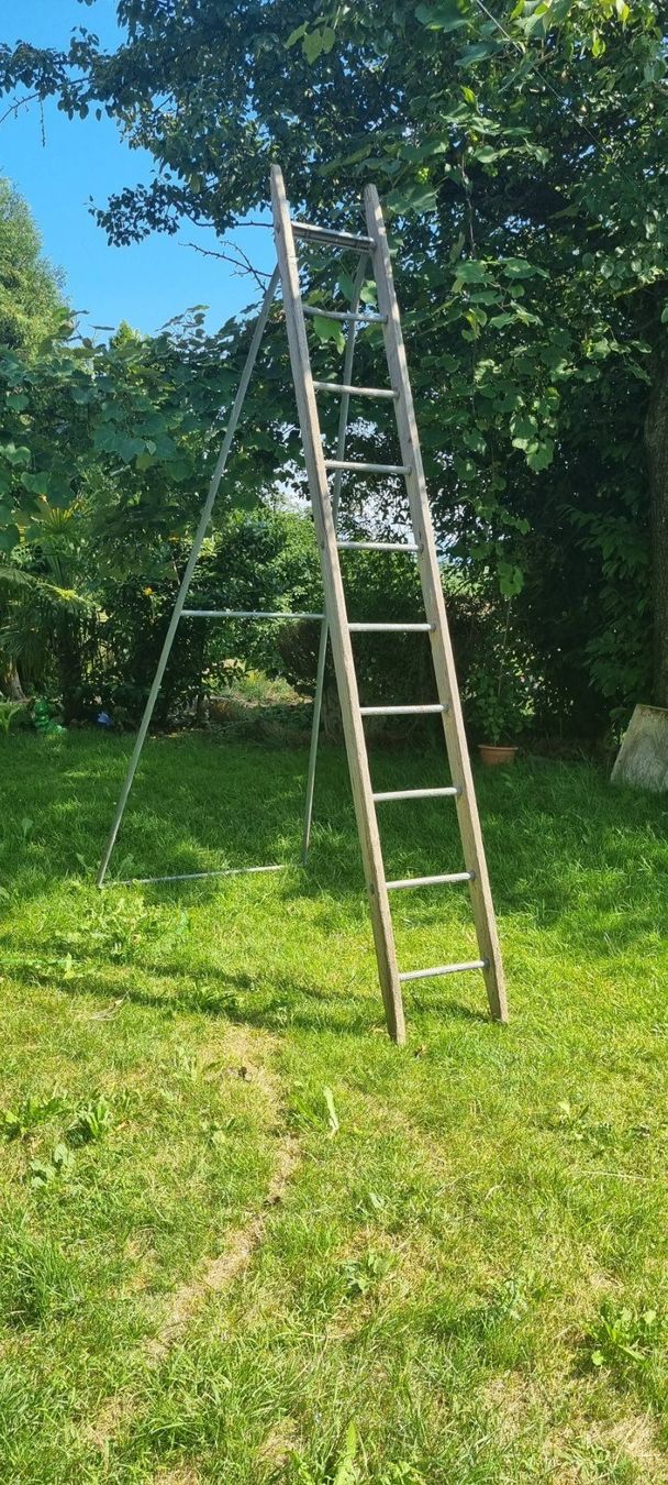 Leitern: Leiter – Gebraucht aus egliswil von