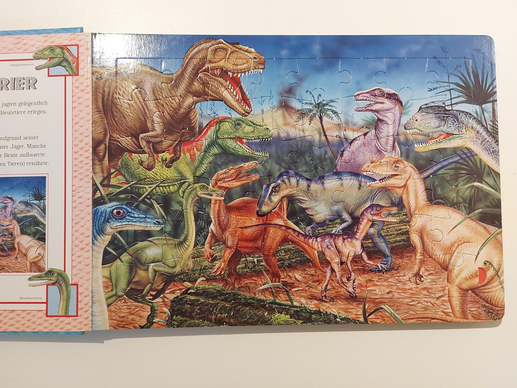 Puzzles: Dinosauria Puzzelbuch – Gebraucht aus Buchs AG von Sushikiller 5