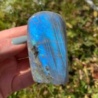 ✲ Labradorit Freiform ✲ 120g / 63mm mit blauen Flash