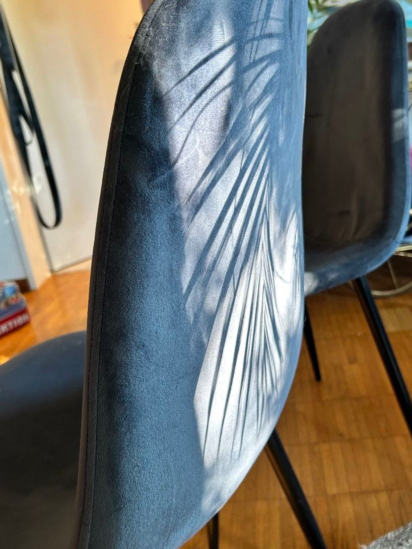 Stühle: Zwei blaue Samtstühle – Gebraucht aus Urdorf von chaeruellespa 1