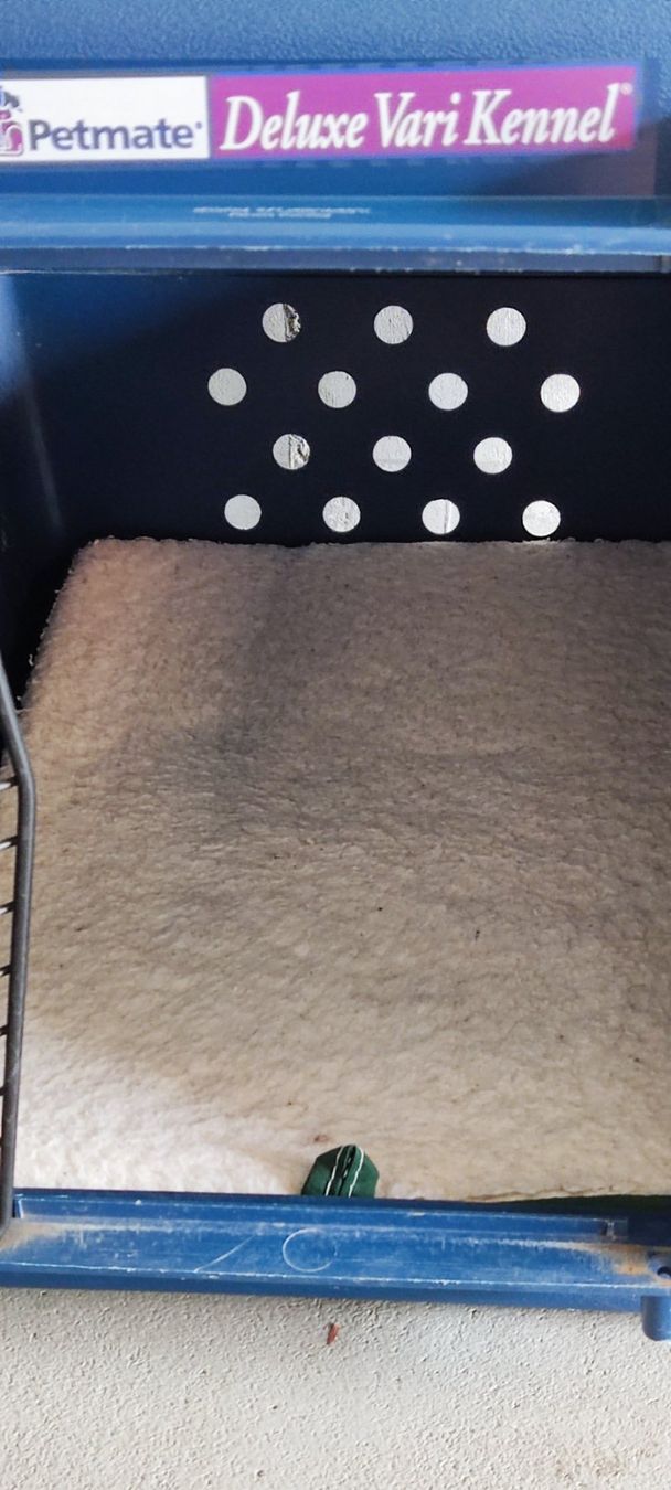 Cages, transport & sécurité: Hundetransportbox – D'occasion à Grenchen par Boogie10 2