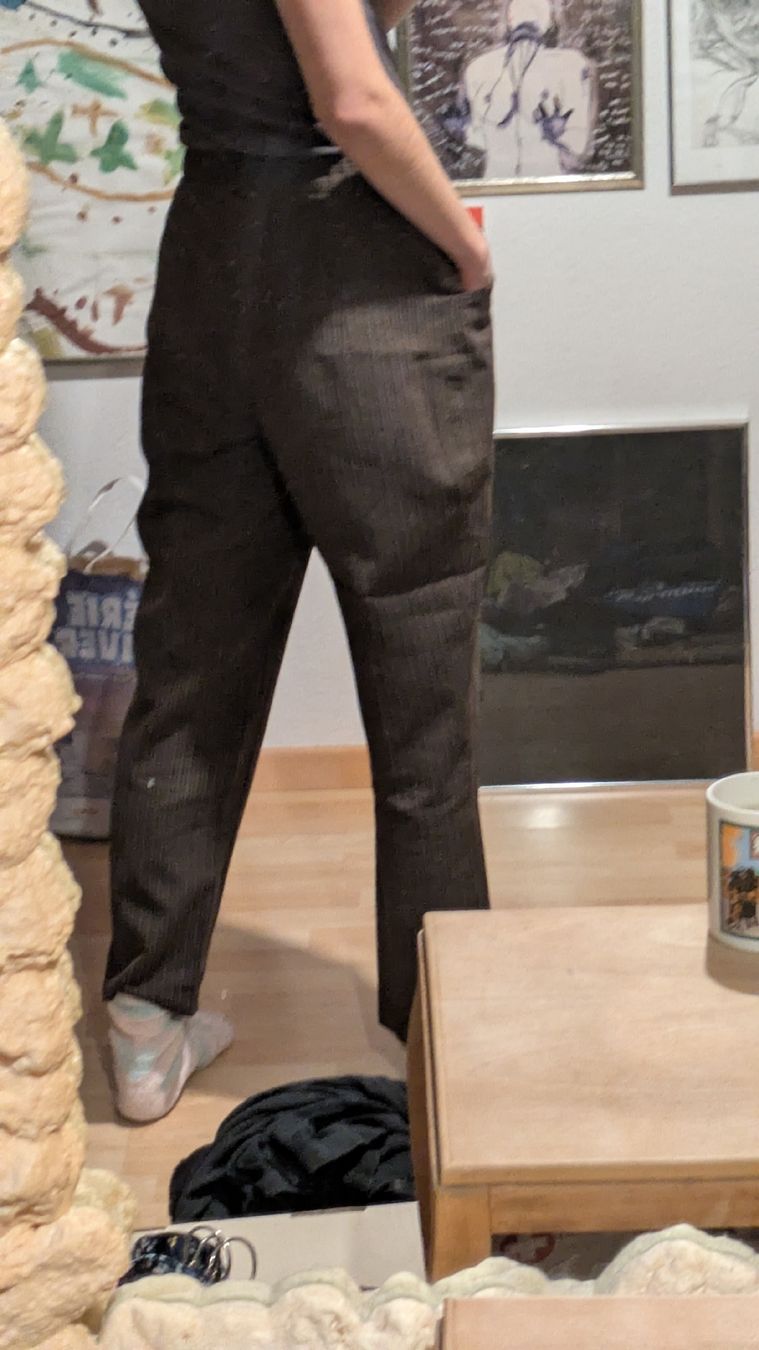 Pantaloni: CITRON Hose – Usato da Morgarten venduto da rra_jvw7 5