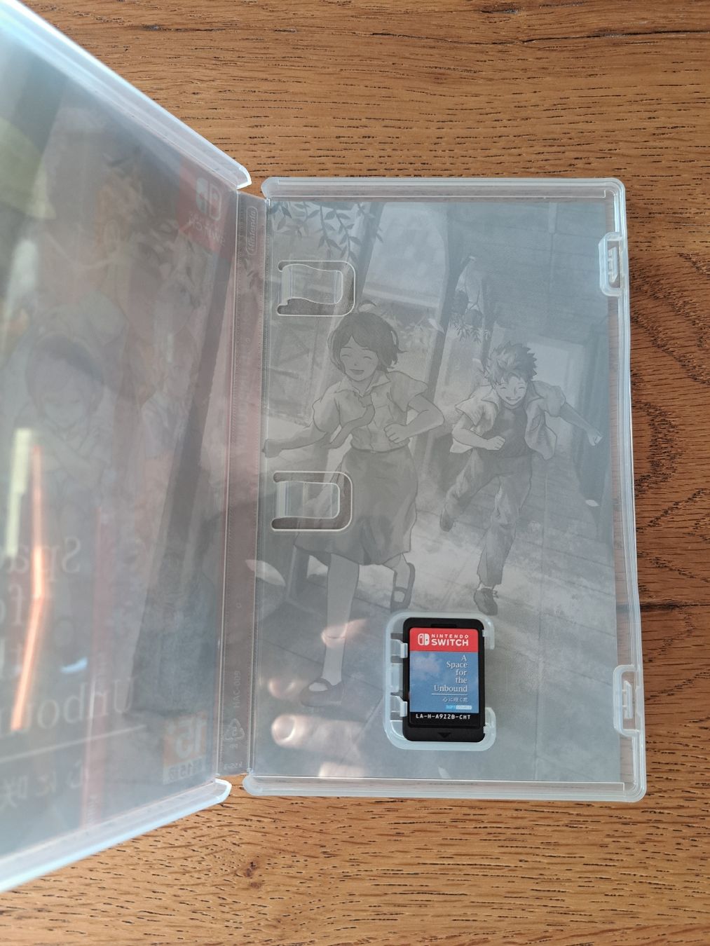 Nintendo Giochi: A Space for the Unbound Switch – Usato da Zürich venduto da Mr.Heli 2